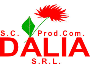 Dália
