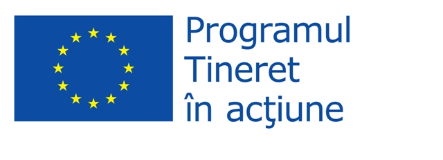 program tineret in actiune